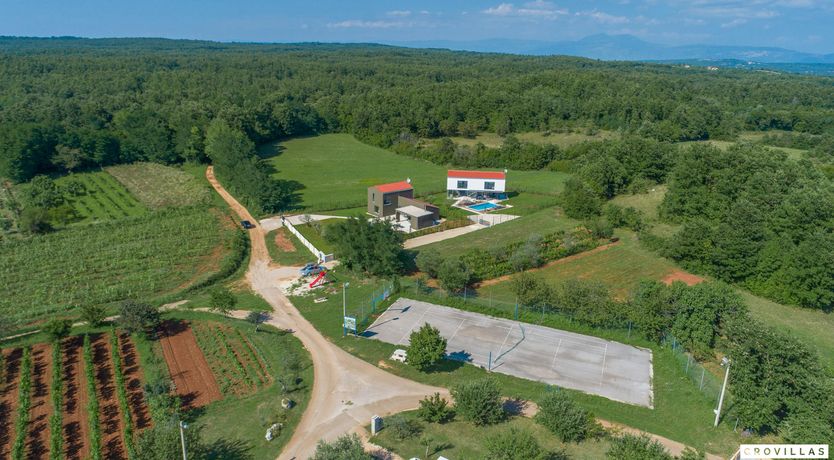 Photo of The Honey Bee's Song