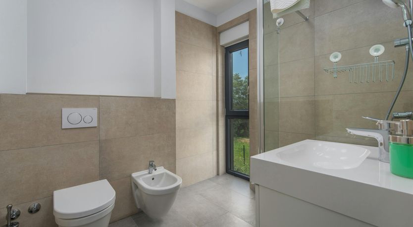 Photo of The Honey Bee's Song