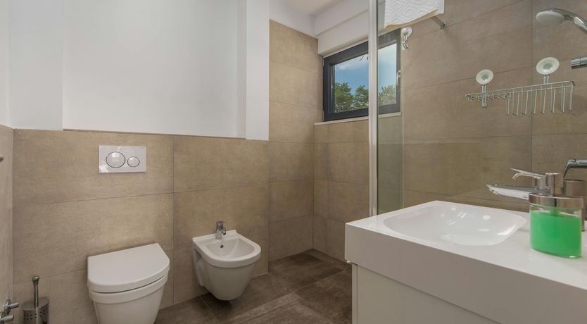 Photo of The Honey Bee's Song