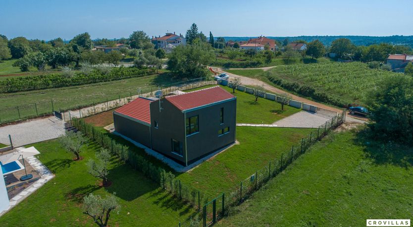 Photo of The Honey Bee's Song