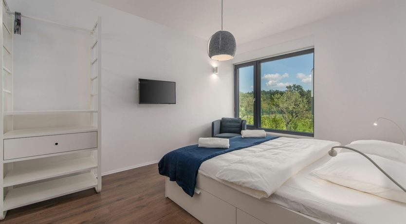 Photo of The Honey Bee's Song