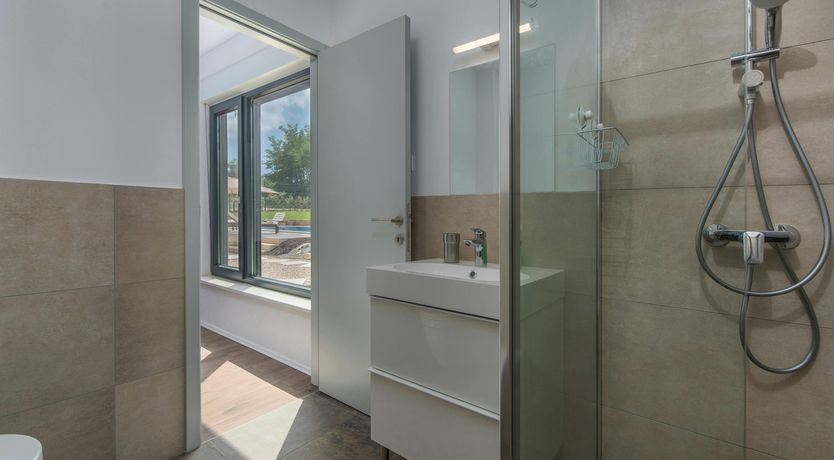 Photo of The Honey Bee's Song