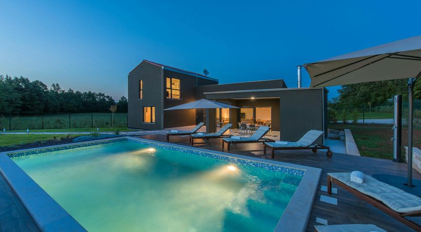 Photo of The Honey Bee's Song