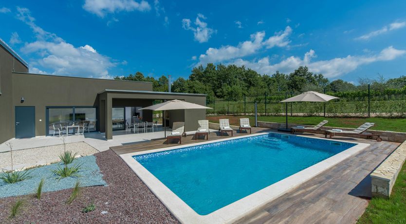 Photo of The Honey Bee's Song