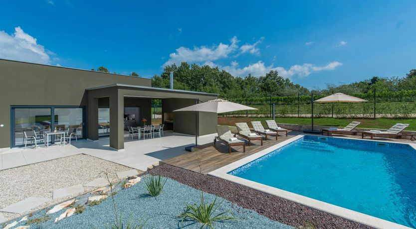 Photo of The Honey Bee's Song