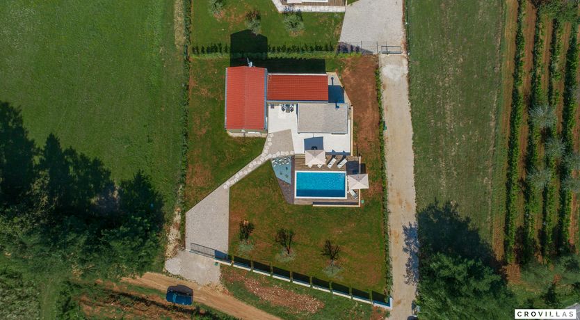 Photo of The Honey Bee's Song