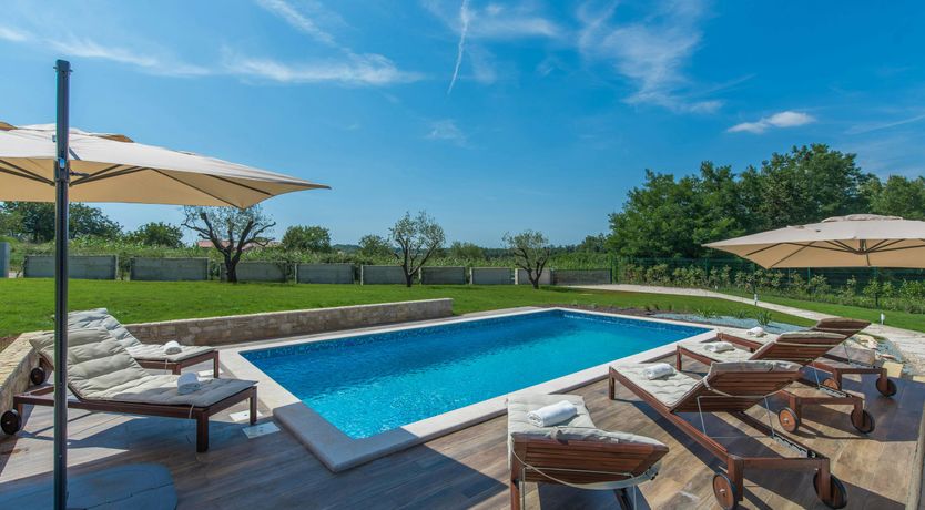 Photo of The Honey Bee's Song