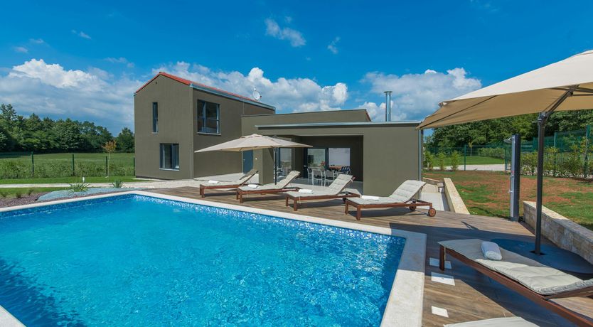 Photo of The Honey Bee's Song