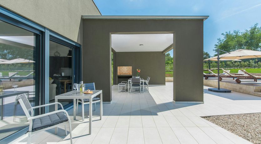 Photo of The Honey Bee's Song