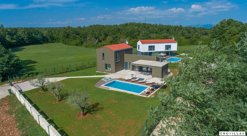 Photo of The Honey Bee's Song