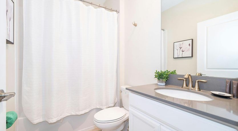 Photo of The Blue Otter's Nest