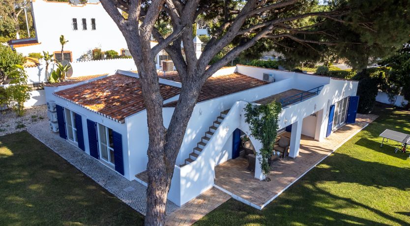 Photo of Tropical Uplift