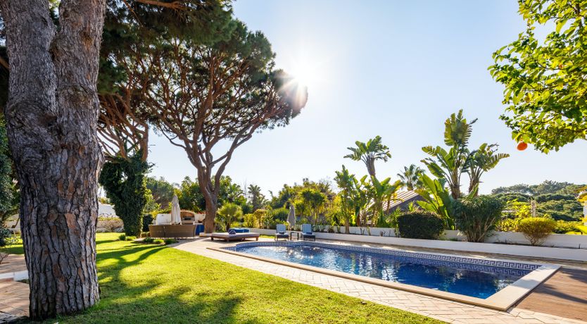 Photo of Tropical Uplift