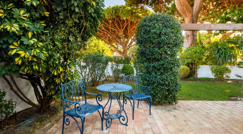 Photo of Tropical Uplift