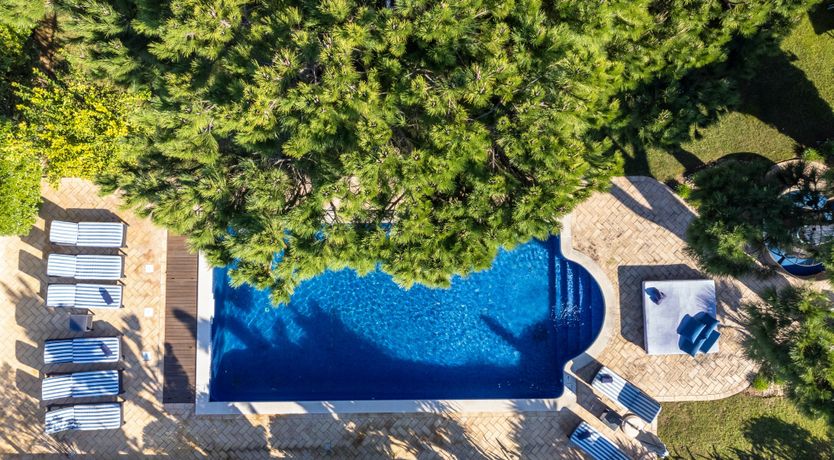 Photo of Tropical Uplift