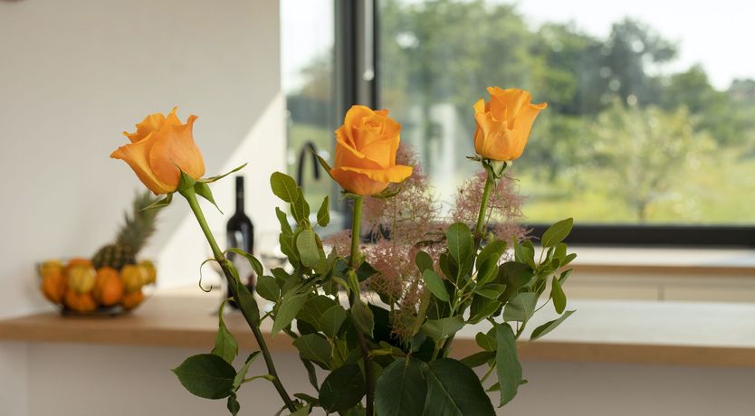 Photo of Getaway Haven