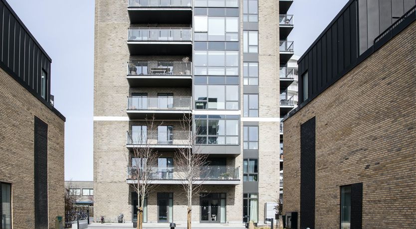 Photo of Sunlit Oasis