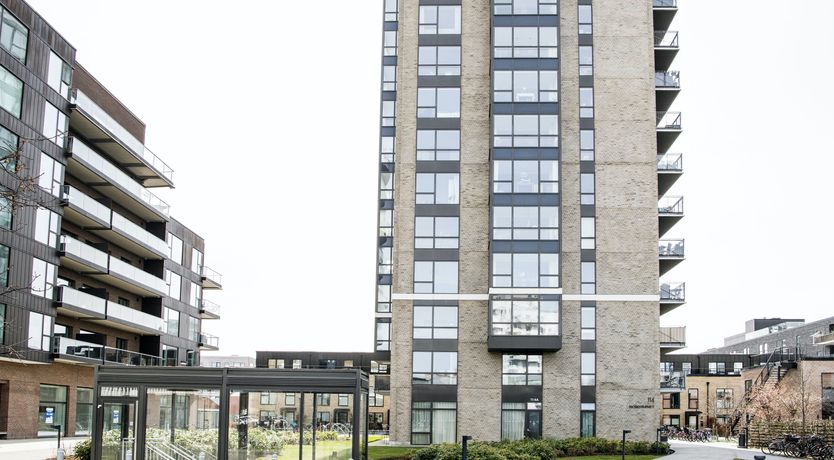 Photo of Sunlit Oasis