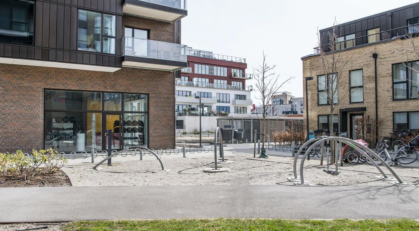 Photo of Sunlit Oasis