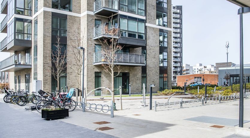 Photo of Sunlit Oasis