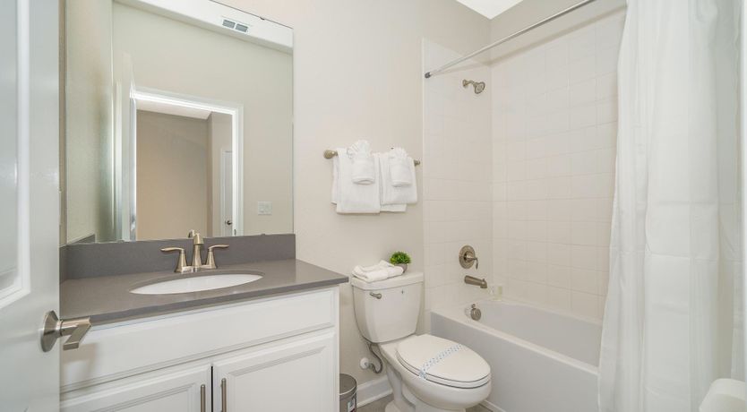 Photo of Cottonwood & Palm