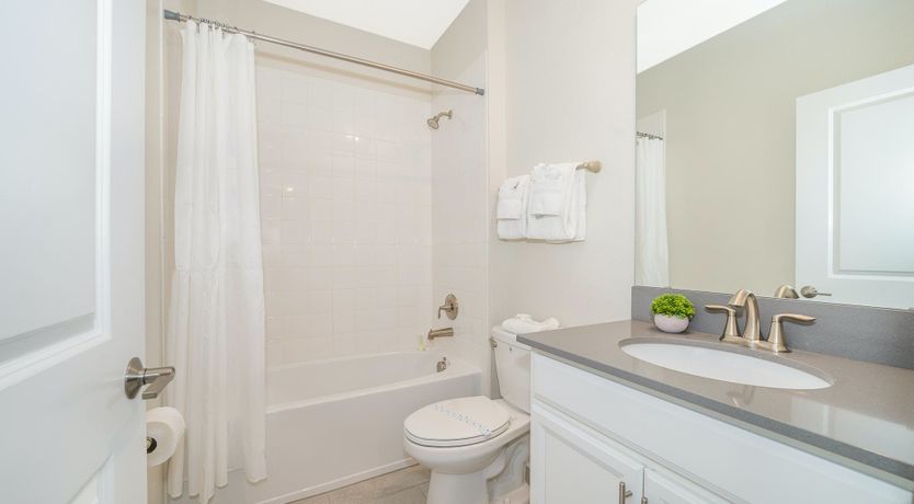 Photo of Cottonwood & Palm