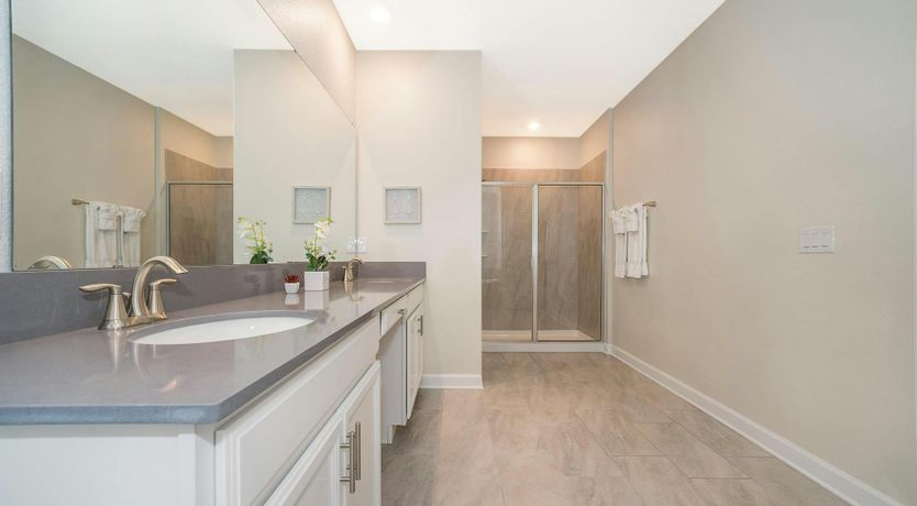 Photo of Cottonwood & Palm