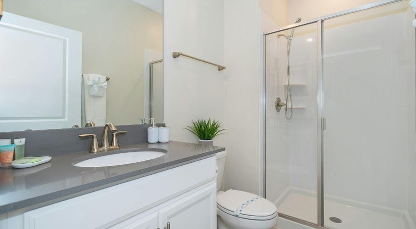 Photo of King of Diamonds