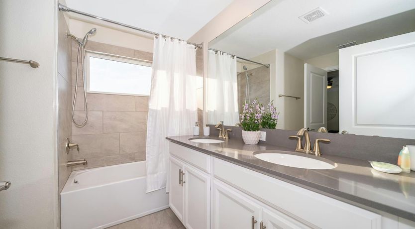 Photo of King of Diamonds