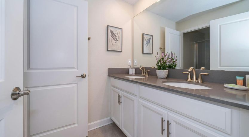 Photo of King of Diamonds