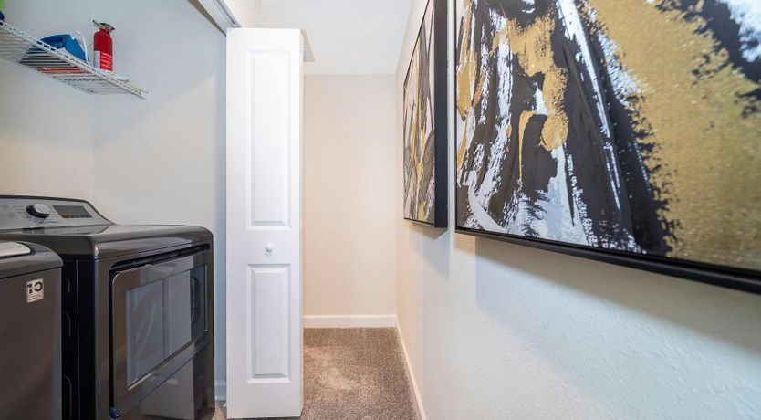 Photo of King of Diamonds