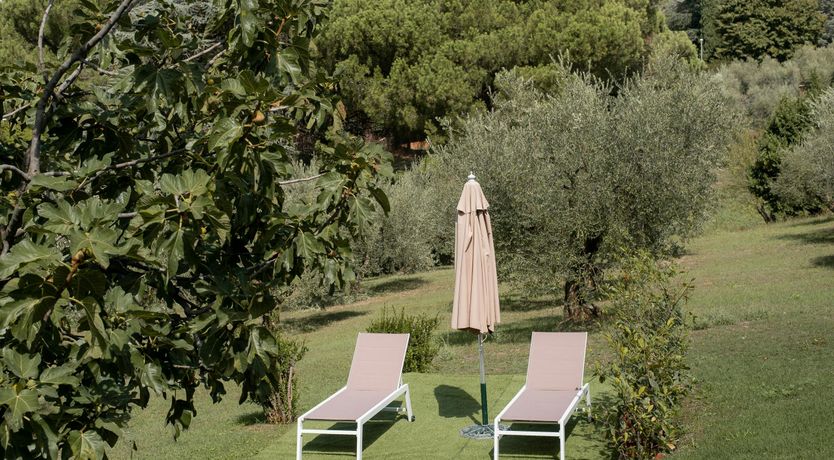 Photo of Enchanted Olive Retreat