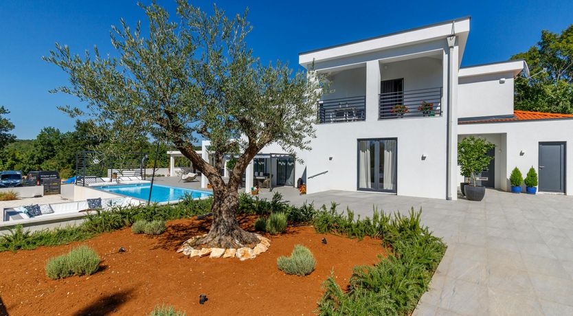 Photo of Rosewater Breeze