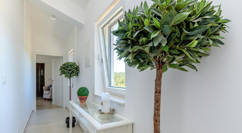 Photo of Rosewater Breeze