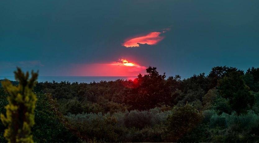 Photo of Rosewater Breeze