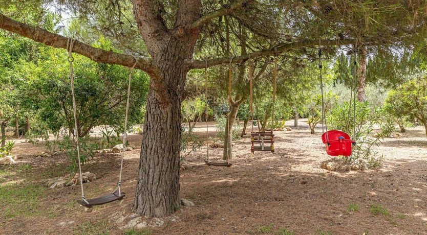 Photo of Mallorcan Mood