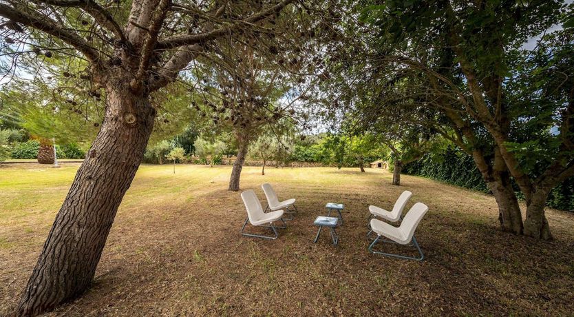 Photo of Mallorcan Mood