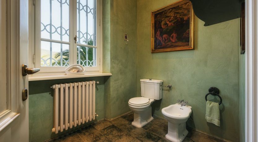 Photo of Pine Forest Sanctuary