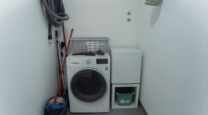 Photo of Radiance in the Shade