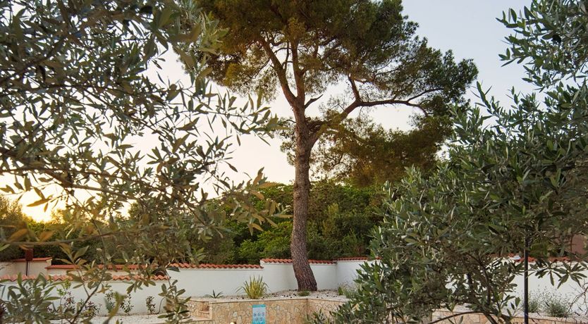 Photo of Istrian Retreat