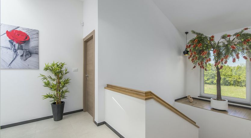 Photo of The Marčana Vineyard