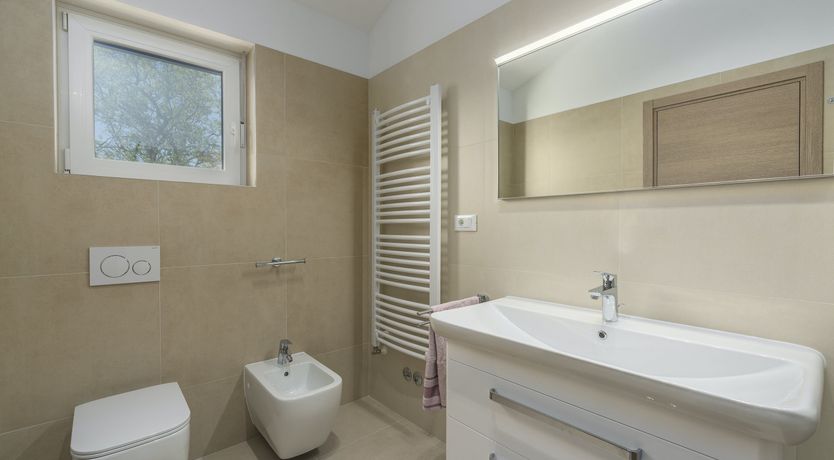 Photo of The Marčana Vineyard