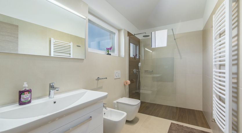 Photo of The Marčana Vineyard