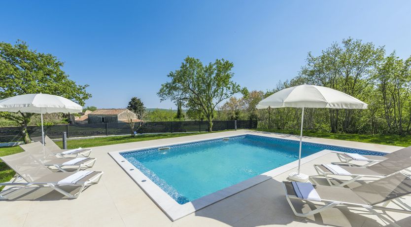 Photo of The Marčana Vineyard