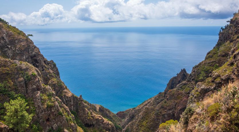 Photo of Madeira Melodies