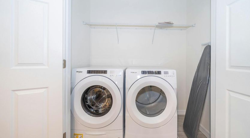 Photo of Dandelion & Thistle