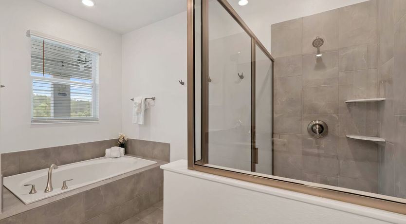 Photo of A Tide of Summer