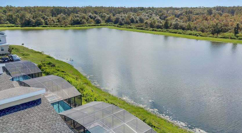 Photo of A Tide of Summer