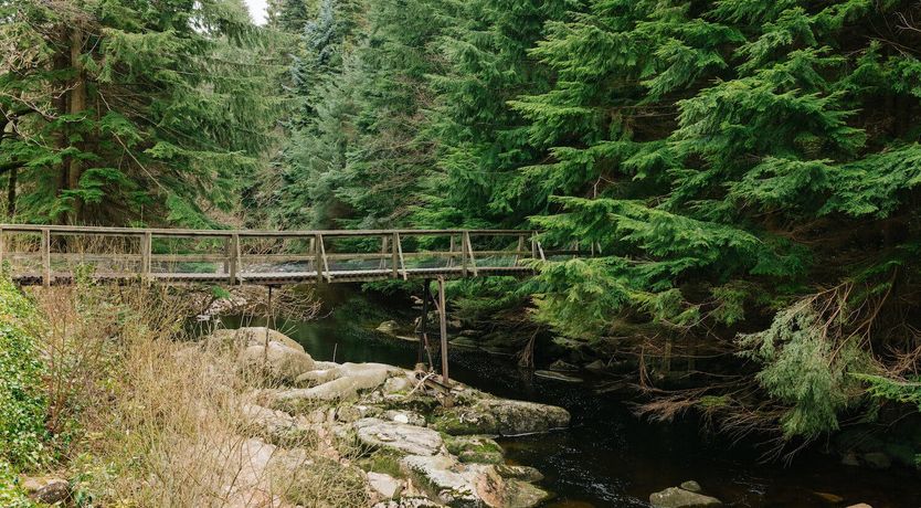 Photo of The Secret Eden