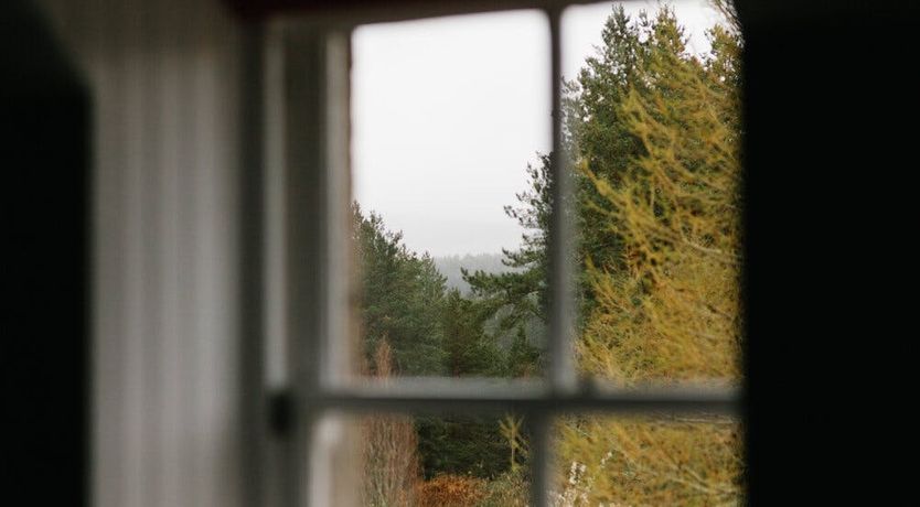 Photo of The Voice of Nature